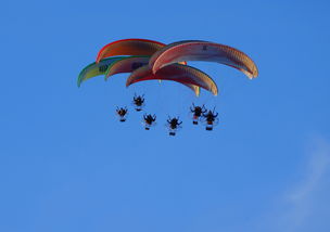 乐鱼app-英超球队结合疲劳评分系统动态分配替补上场时机，英超伤病报告_球员受伤成本逐年攀升